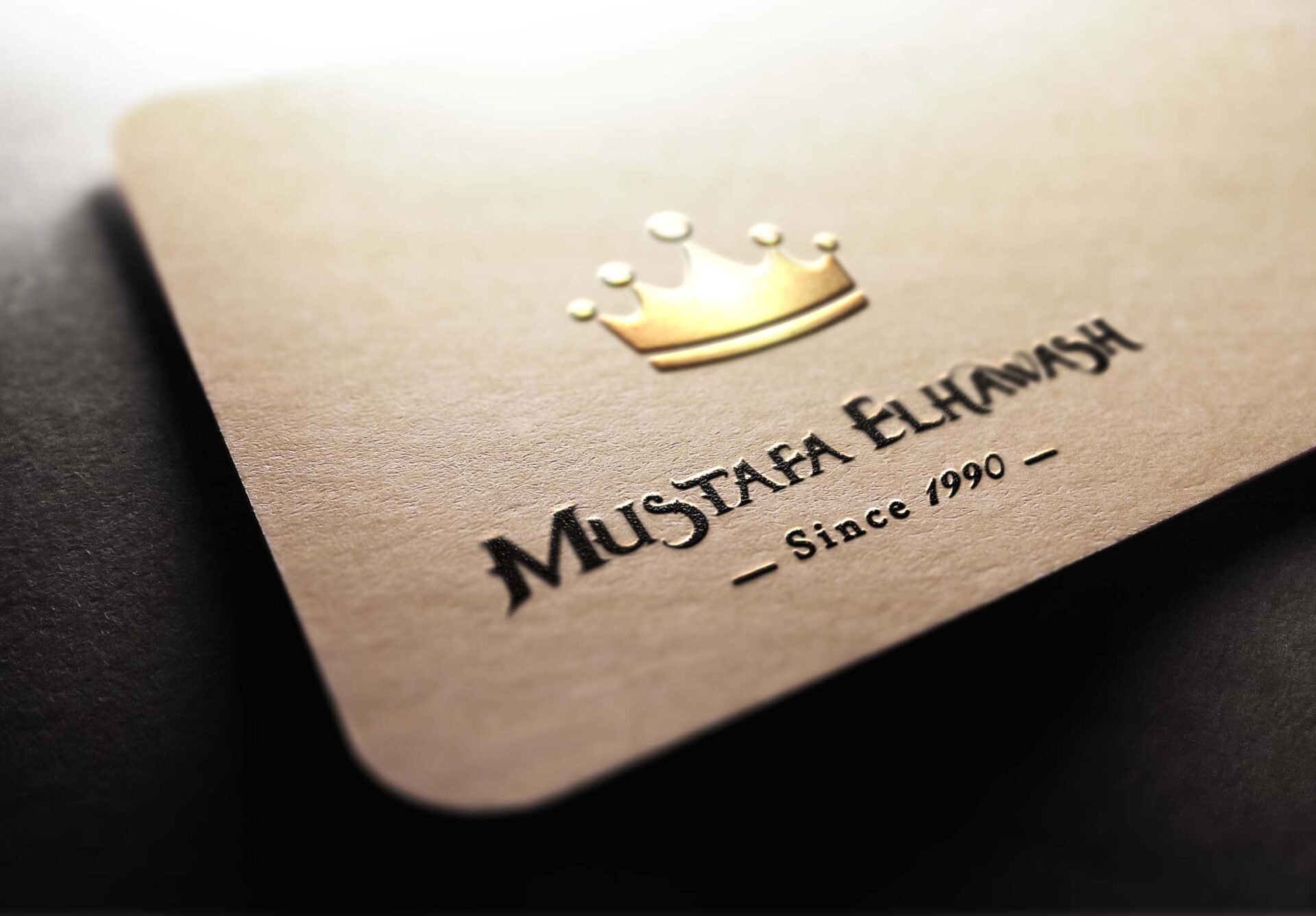 Logo design for you