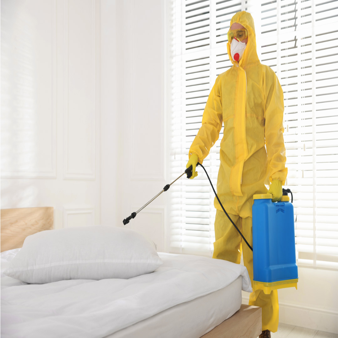 اضافة موقع على جوجل ماب