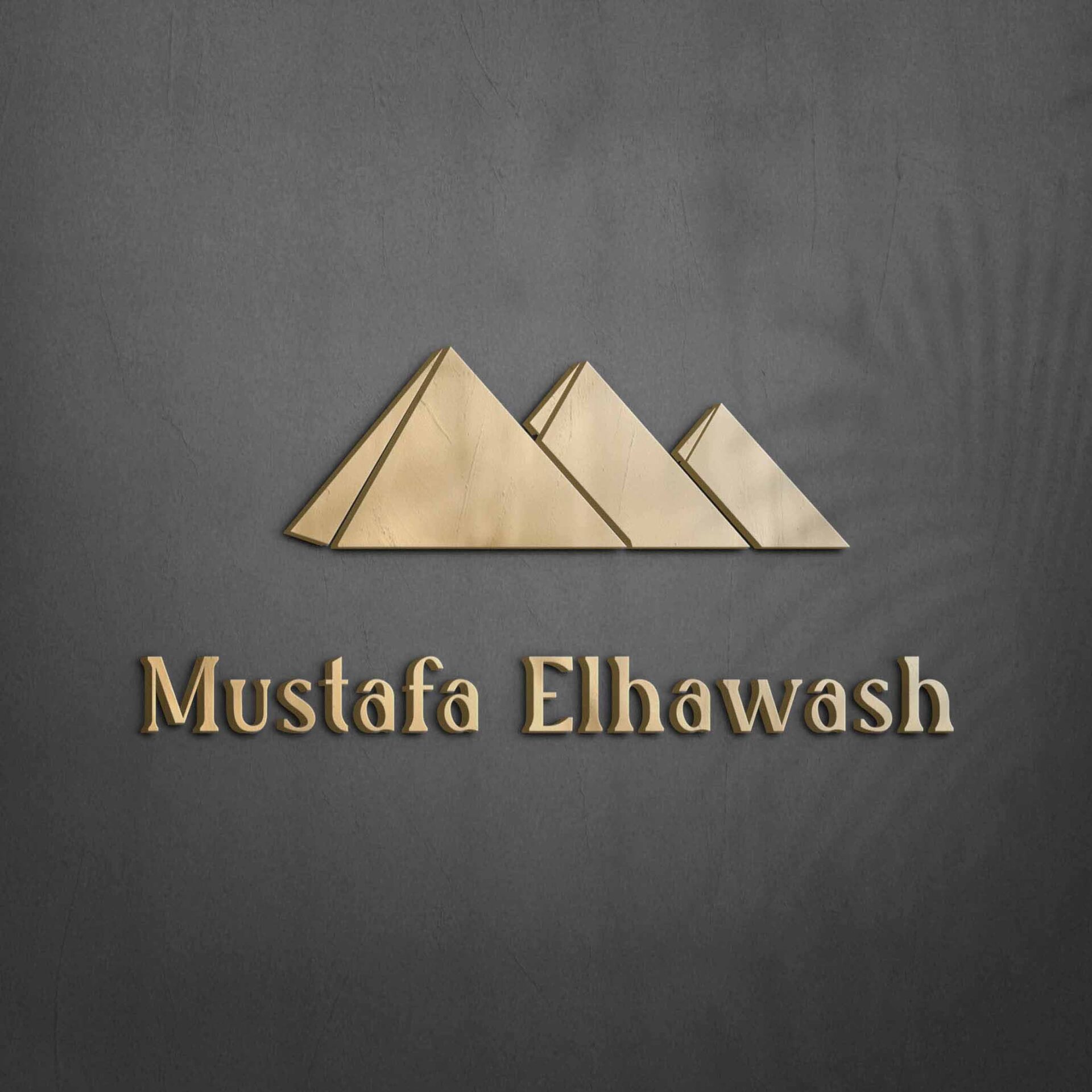 ماركة مصطفي الحواش